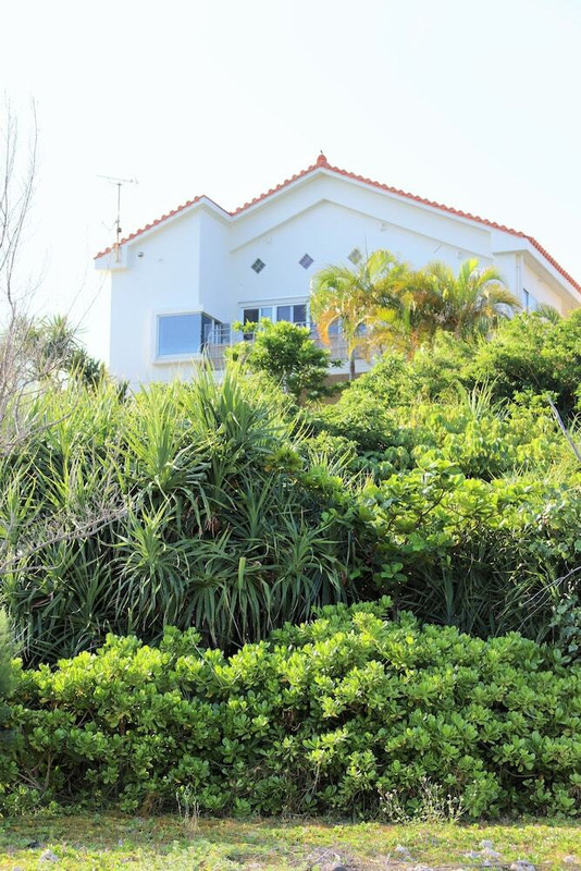 建物のデザイン