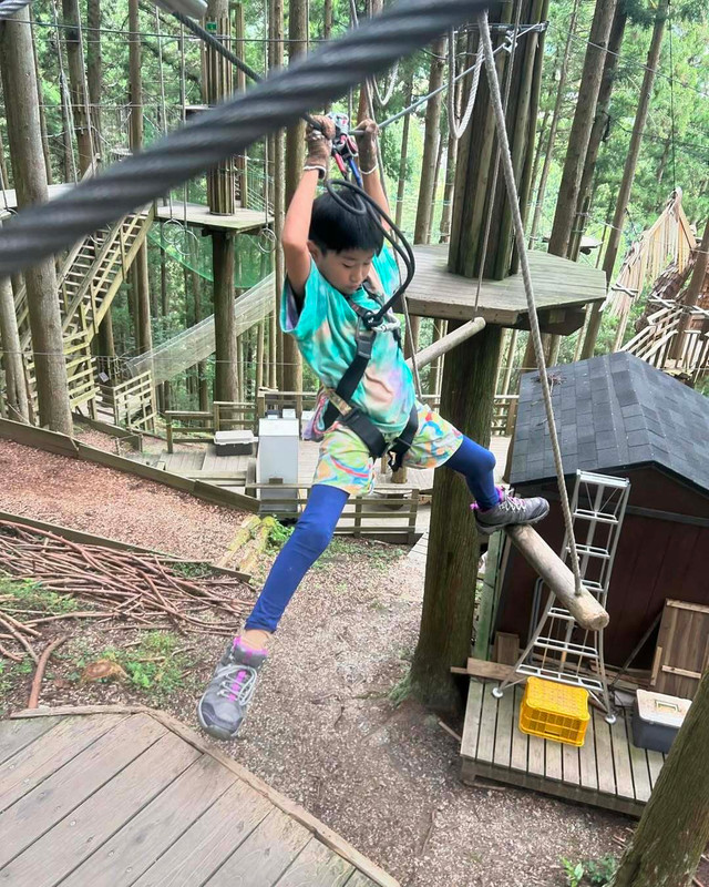 terurisamasaさんの写真 / 1