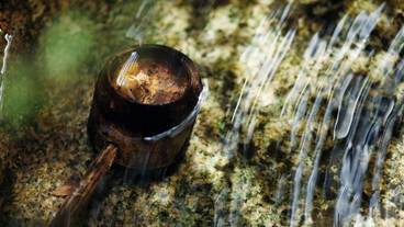 ガーデン ビュー / 3