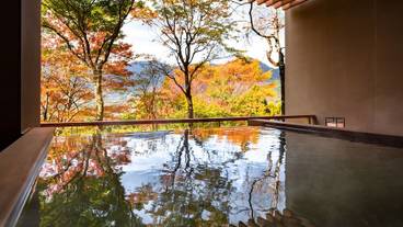 部屋からの景観 / 25