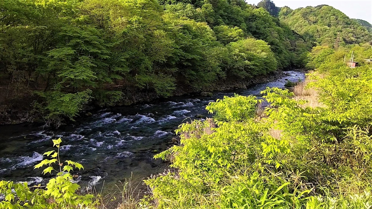 せせらぎと鳥のさえずりで目覚め、窓の外には鮮やかな新緑。