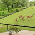 MIROKU 奈良 by the SHARE HOTELS