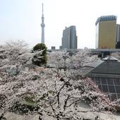 展望大浴場あさひ湯 ドーミーインEXPRESS浅草(東京都 ビジネスホテル) / 4