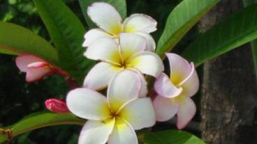 施設からの眺望 / 31