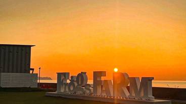 レストラン / 10