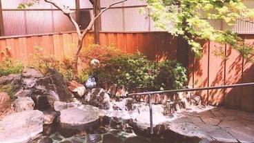 バスルーム / 13