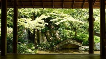  Hamamatsu Castle Park Garden / 23