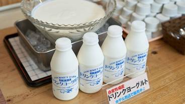 朝食ビュッフェ / 1