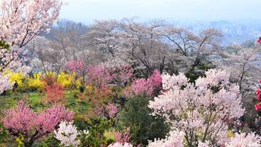 観光スポット / 6