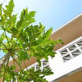 読谷村リゾートハウス(沖縄県 別荘・ヴィラ・コンドミニアム) / 2