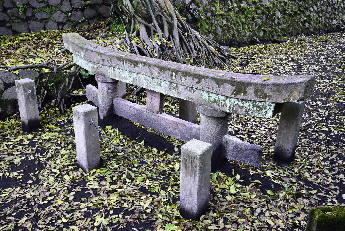 黒神埋没鳥居