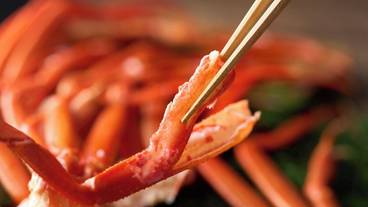 ビュッフェ / 16