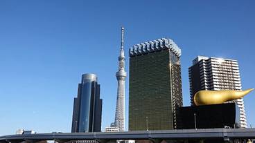 観光スポット / 11