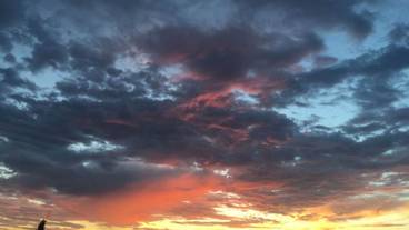 施設からの眺望 / 23