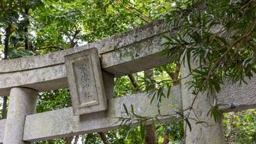 観光スポット / 11