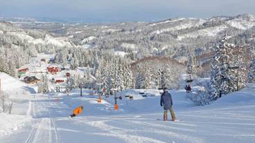 スノー スポーツとスキー / 29