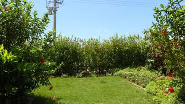 テラス / パティオ / 18