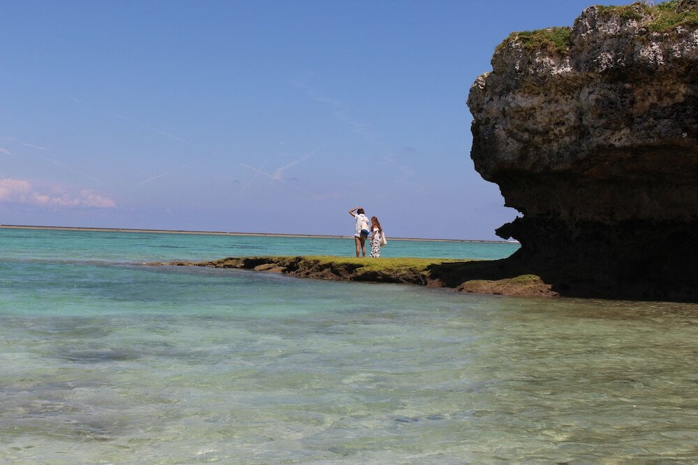 施設からの眺望