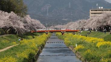 施設の敷地 / 14