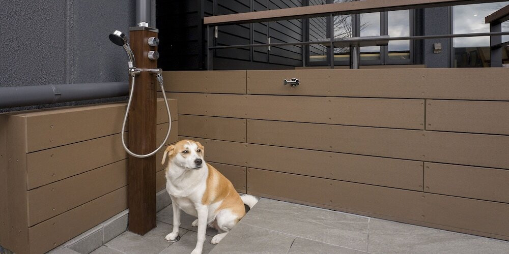 テラス / パティオ