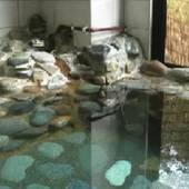 一花館（群馬県 旅館） / 4