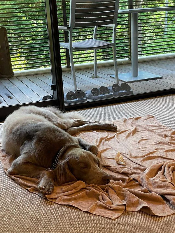 aoblue_._さんの写真 / 2