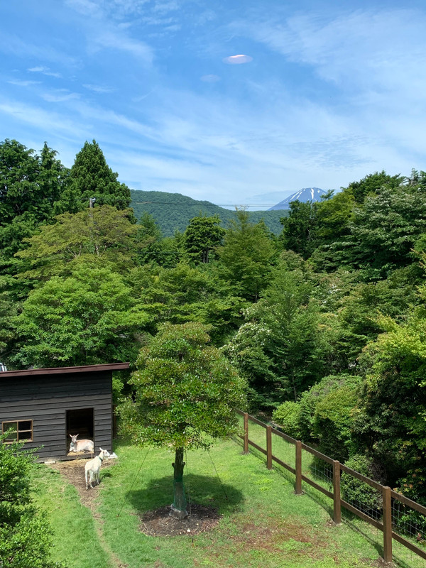 gokutabi_tripさんの写真 / 3