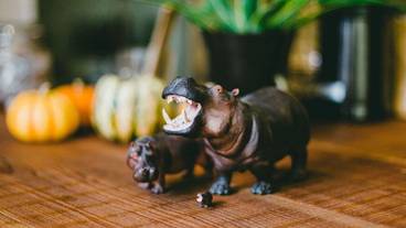 内装の詳細 / 17