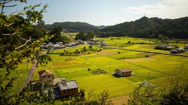 施設の敷地 / 16