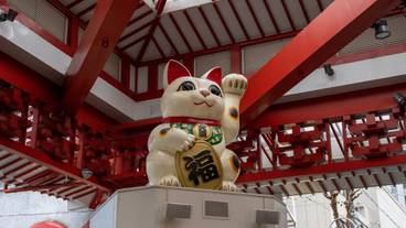 シティ ビュー / 27