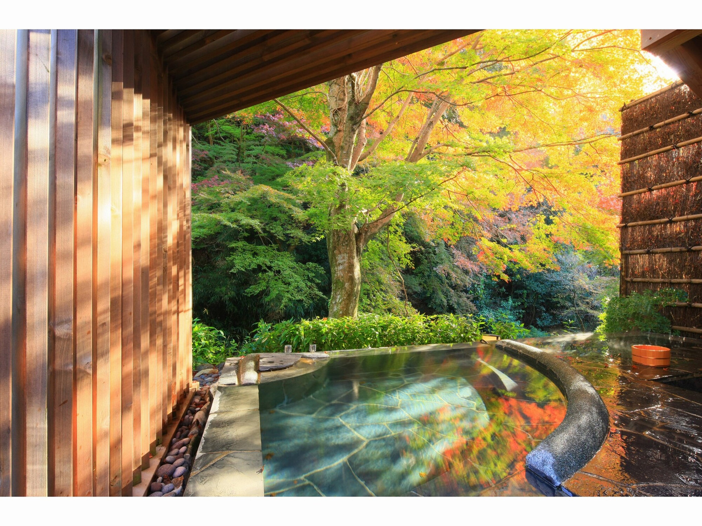 奥湯河原 結唯-ゆい-3391042