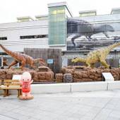 ホテルエコノ福井駅前(福井県 ビジネスホテル) / 3