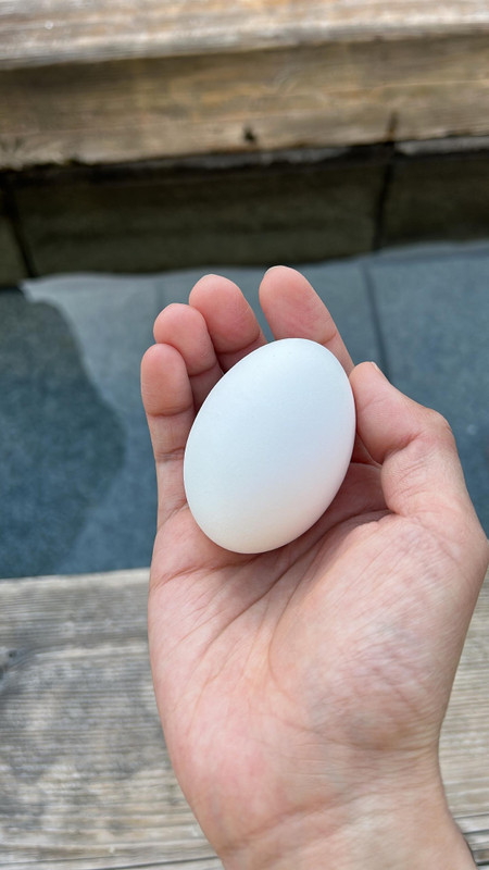 manpuku_gram24さんの写真 / 1