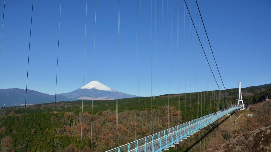 三島の大吊橋から
富士山の絶景を満喫 / 1