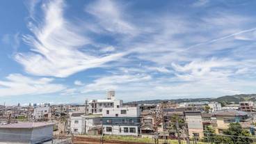 ランド ビュー / 6