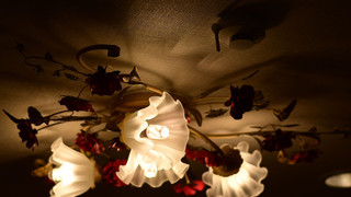 デザイナーズ コンドミニアム (35平米/リビング/キッチン付) 禁煙