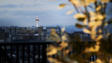 屋上テラス / 16