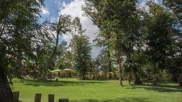 ペット用設備・サービス / 6