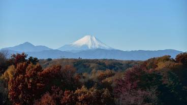 マウンテン ビュー / 33