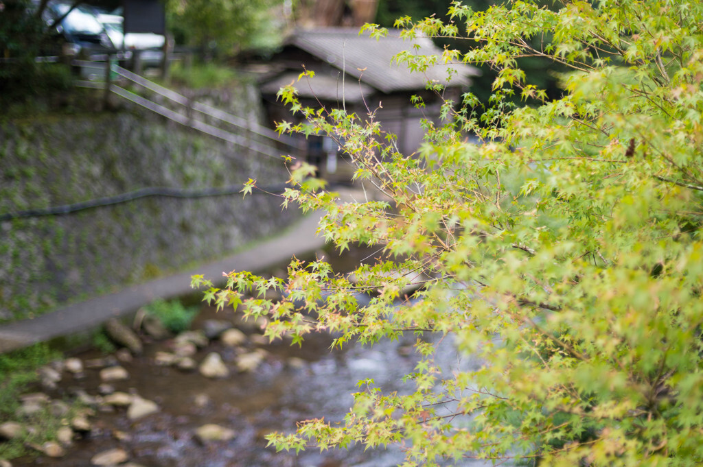 お風呂自慢の宿に泊まって、館内湯めぐりもいい。3439202