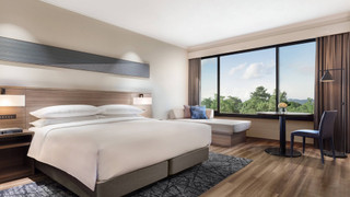 スーペリア ルーム キングベッド 1 台 マウンテンビュー