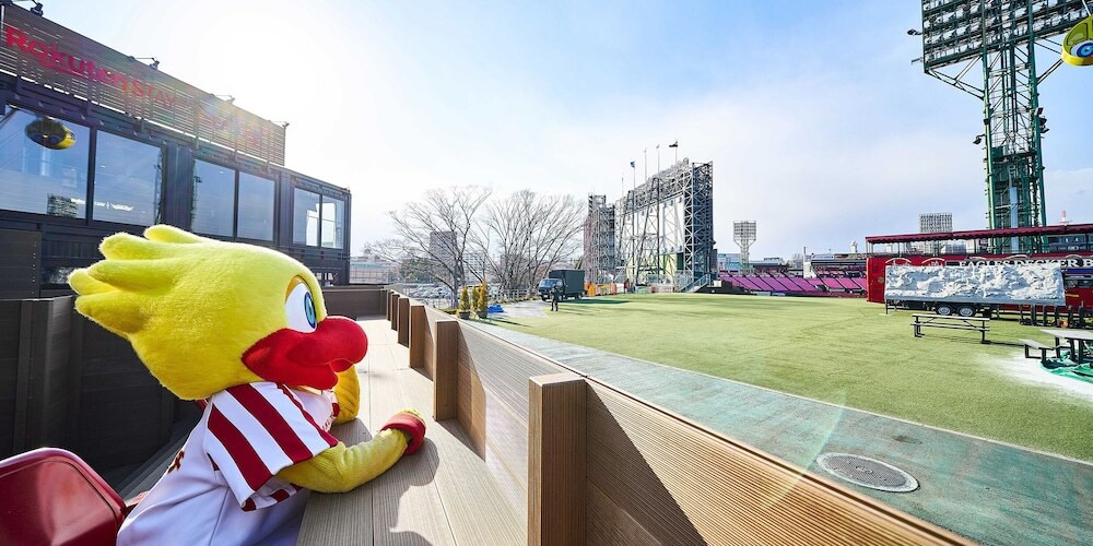 テラス / パティオ