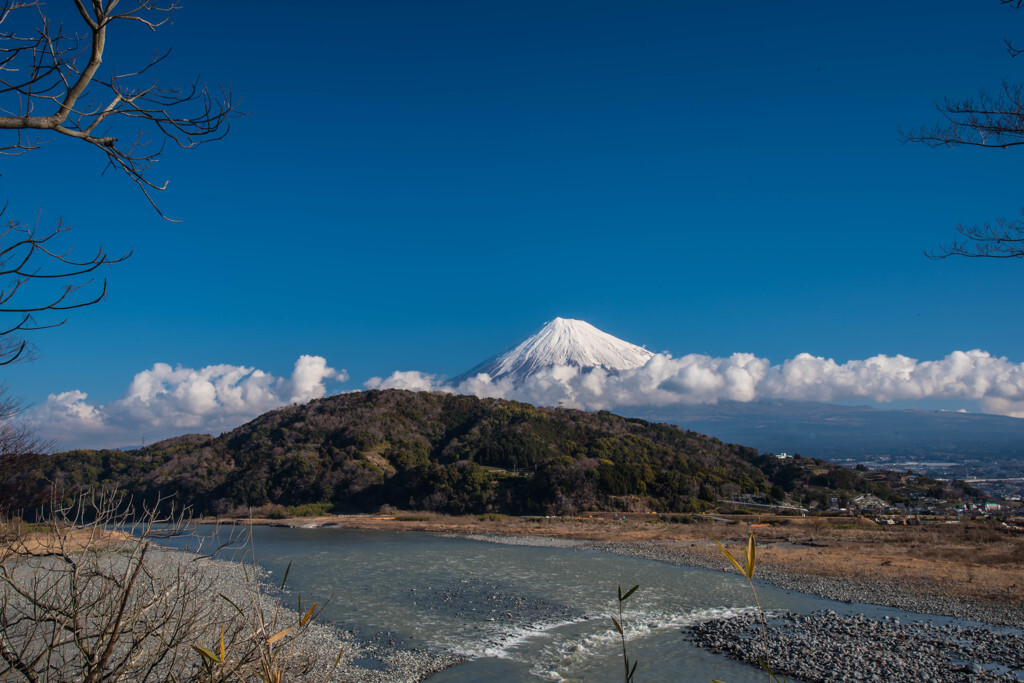 いろいろな富士山が見られます643087
