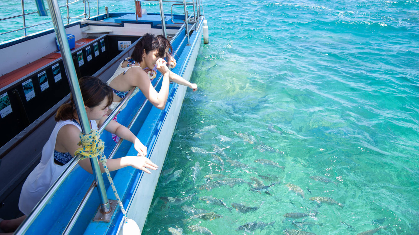 カラフルなお魚に会いに行ける「グラスボート」4269940