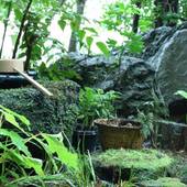 朝日屋旅館（大分県）（大分県 旅館） / 3