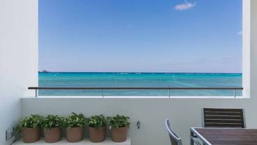 テラス / パティオ / 5