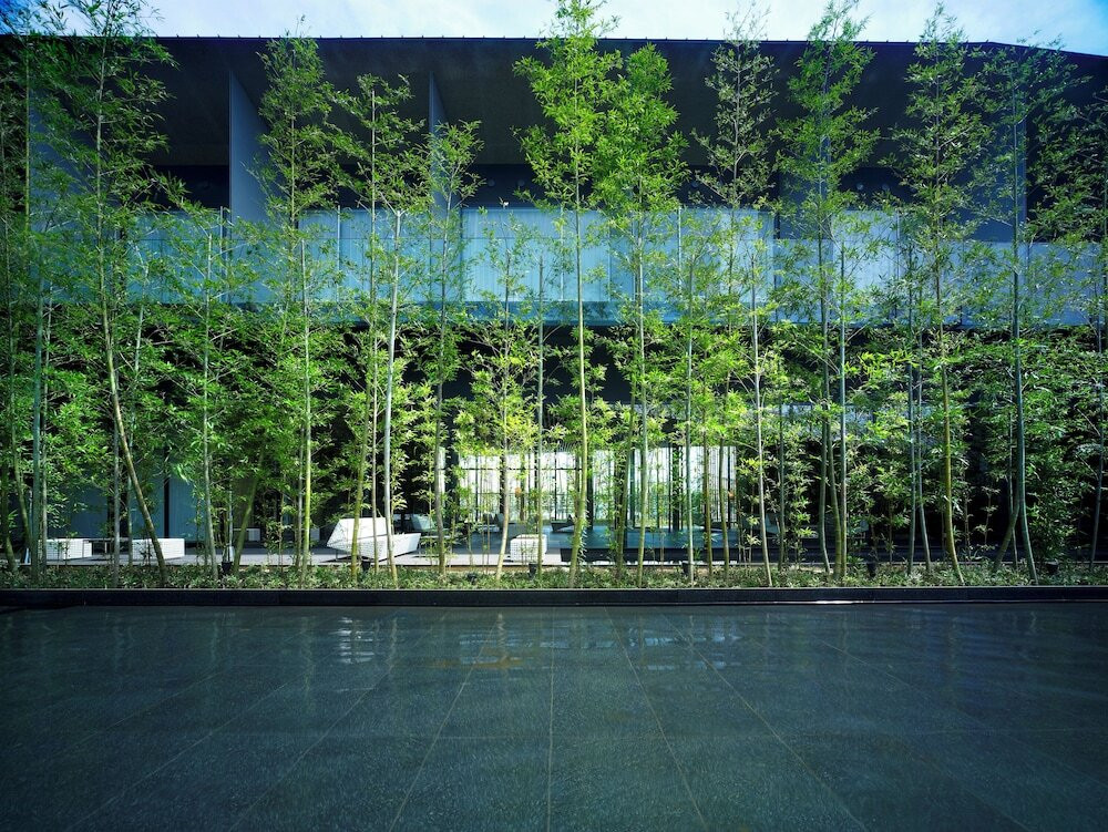 テラス / パティオ