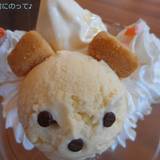 星めぐり（ホシメグリ）