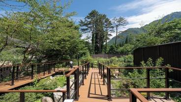 テラス / パティオ / 23