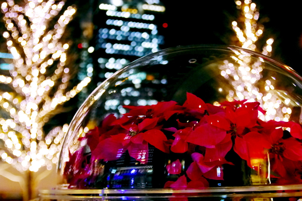 大阪でロマンチックなクリスマスデートがしたい♡1396524